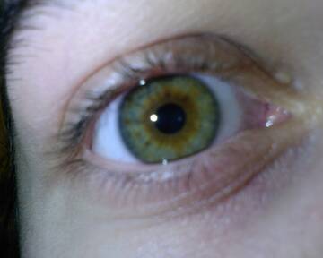 Foto publica di pertefrrr